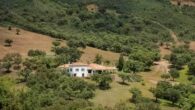 Gelegenheit: Großartiges Jagdgebiet mit ca. 2.150 Hektar; pro Quadratmeter € 0,446 - Jagdgebiet in Spanien, Immobilien-Kurz-Salzburg