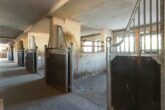 Exklusive REITERHOF in einzigartiger Alleinlage im Salzburger Seenland - Bild