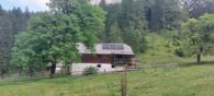 Alm über 100 ha im Salzburger Land - Alm, Immobilien-Kurz-Salzburg