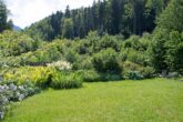 Bezaubernde Gartenwohnung in charmantem Landhaus - Gartenwohnung, Immobilien-Kurz-Salzburg